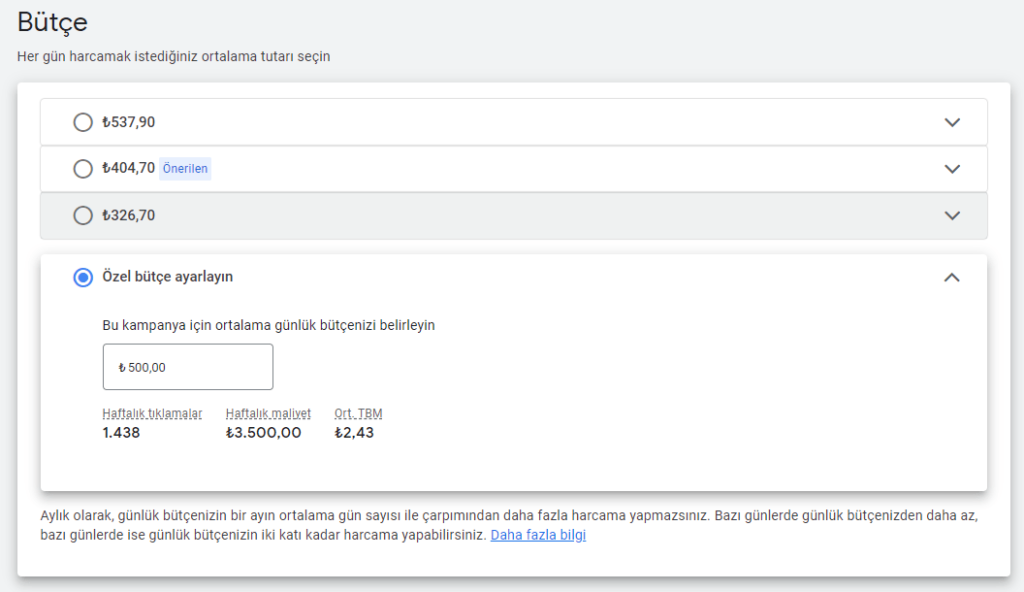 Google Ads Bütçe Belirleme