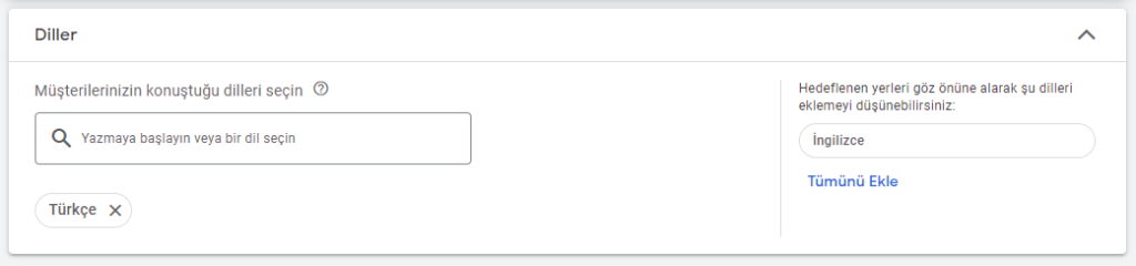 Google Ads Dil Seçimi