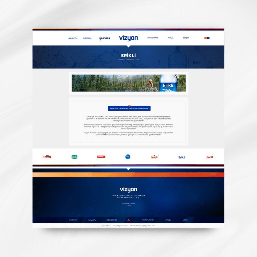 Vizyon Pazarlama Marka Detay Web Tasarımı