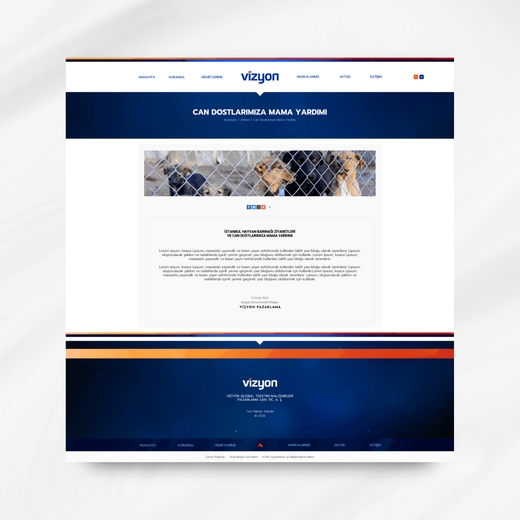 Vizyon Pazarlama Haber Detay Web Tasarımı